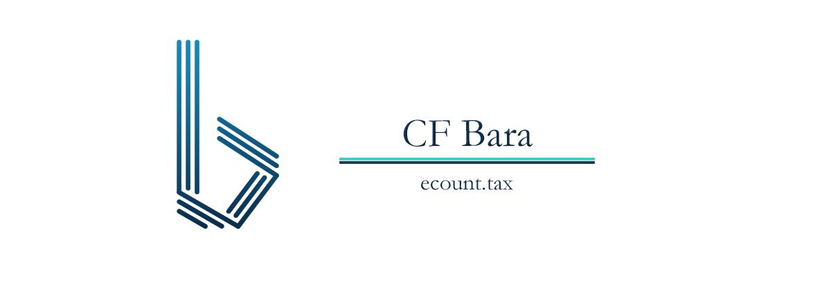ecount.tax Team – Buchhalterexperten Oradea